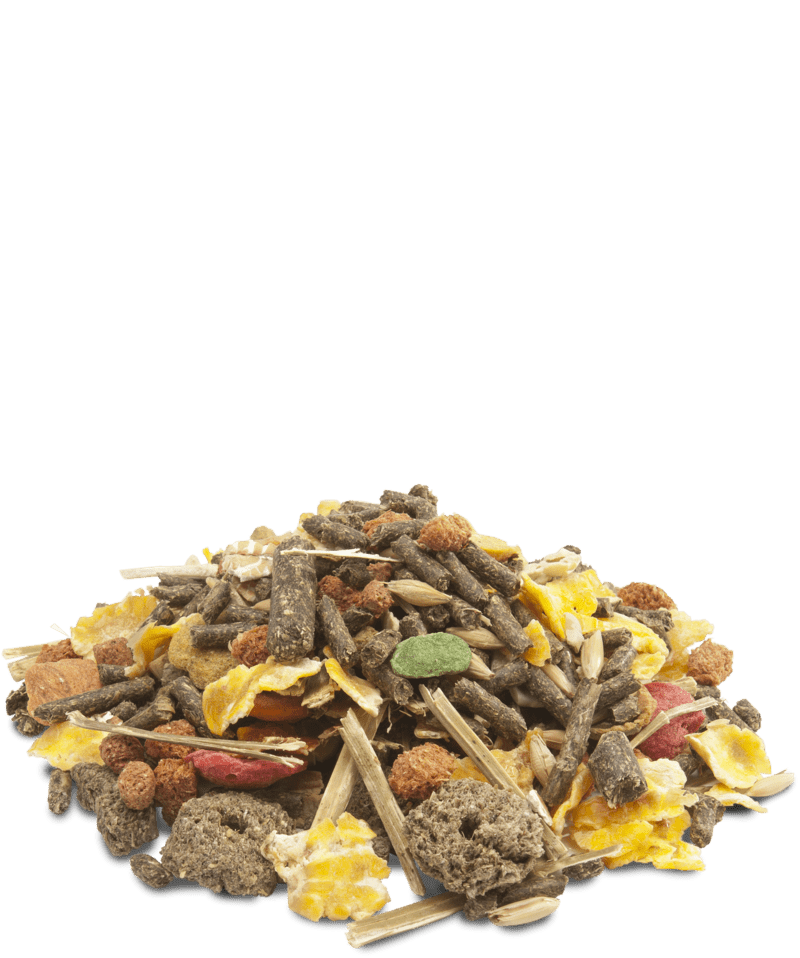 Versele-Laga Crispy Muesli Hamster Food - 1 kg